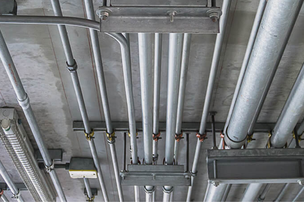 Untitled design – 2026-02-14T120049.751